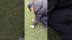 Шимано Альдебаран БФС продолжение.