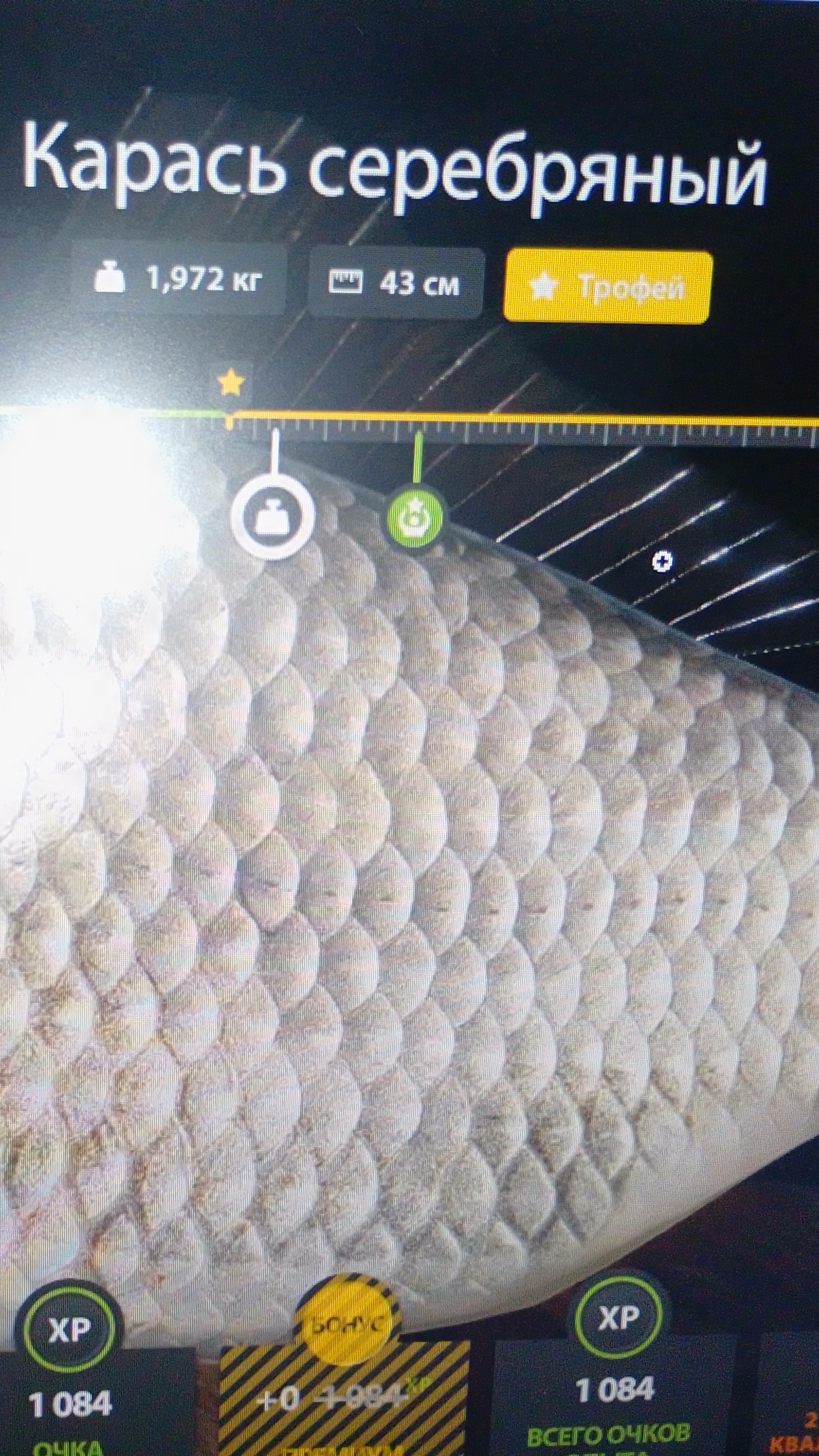  трофик в коллекцию медвежки 