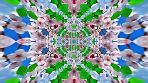 Весна! Полёт цветочных лепестков 5! Киностудия Мудрого Кота Тимофея!