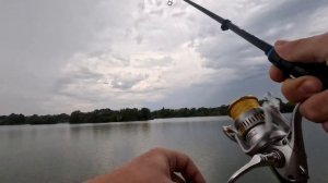 Мертвый Донец