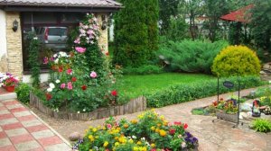 Дачные премудрости ! (15)