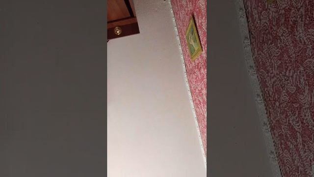 тр2 смотреть онлайн