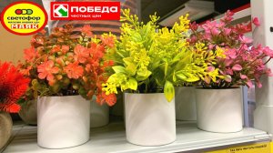 🔥 СВЕТОФОР - МАЯК полон как никогда 🔥ПОБЕДА Новая поставка и уже разбирают