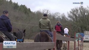 Иппотерапию для ветеранов СВО проводят в курортном селе Сукко под Анапой