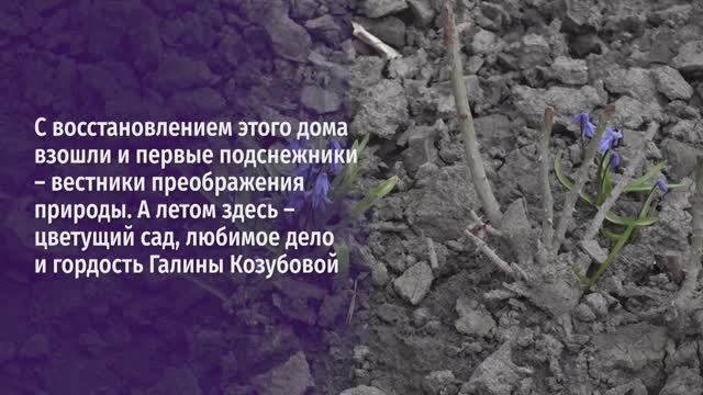 Восстановление Шебекино