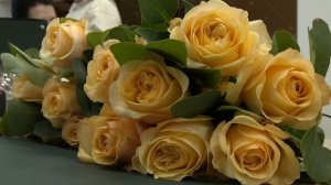 Как отметили День работника культуры в Пушкинском?