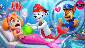 Щенячий патруль и Маршалл. Залипательное видео. Мультфильм для детей и малышей. Анимация 415