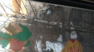 Вид из окна