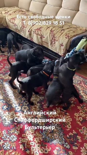 26 марта 2026 г.