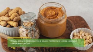 Просто о питании / Арахисовая паста - есть ли польза в этом популярном продукте?