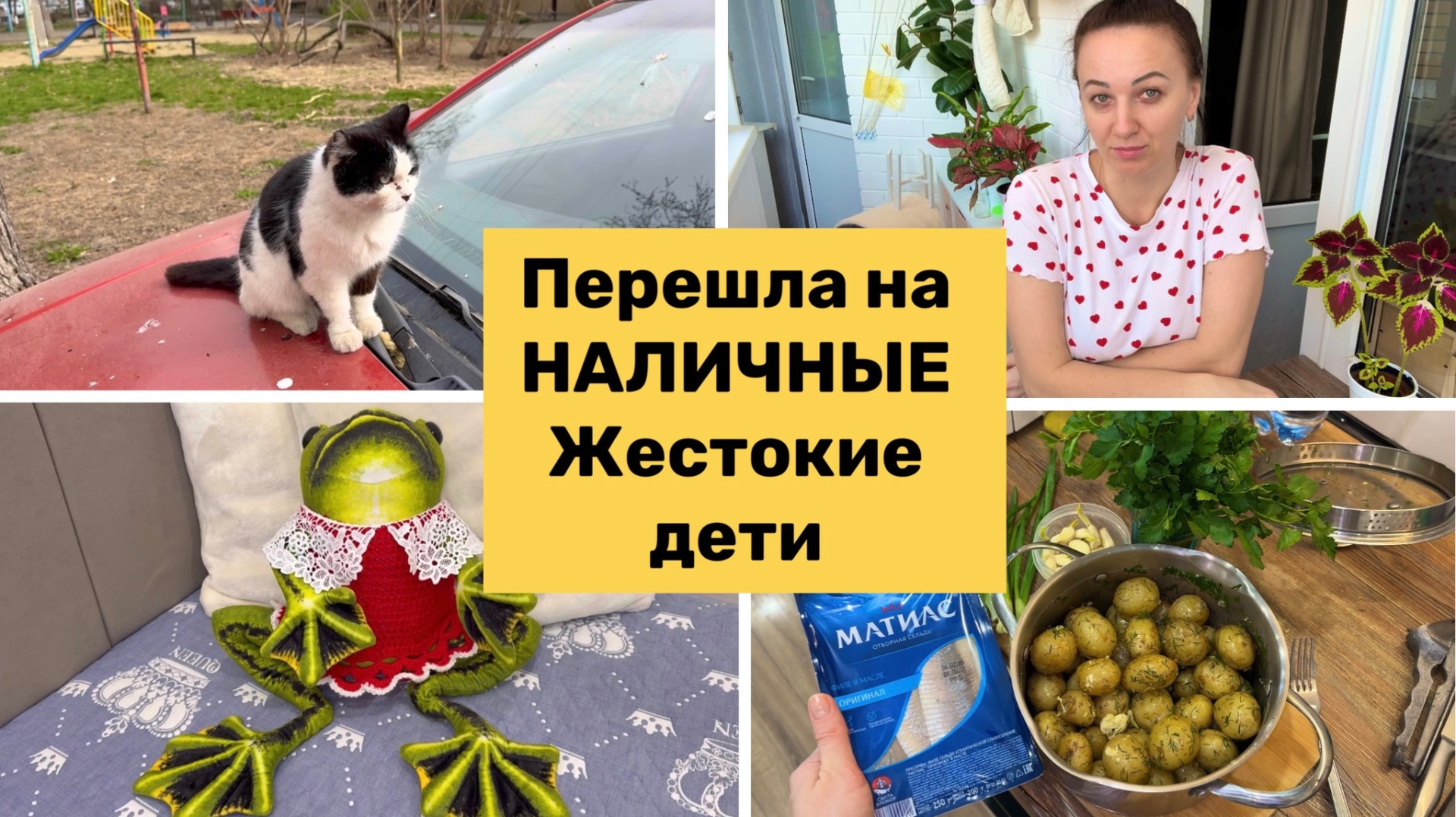 В МАГАЗИНЕ ПРОСЯТ ПЛАТИТЬ НАЛИЧНЫМИ / Жестокие дети / Семейный влог.