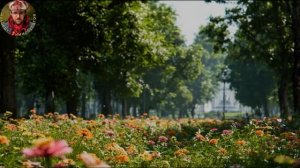 Я отправляюсь к морю