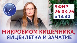 Микробиом кишечника, яйцеклетка и зачатие. Научная почва для здоровой беременности