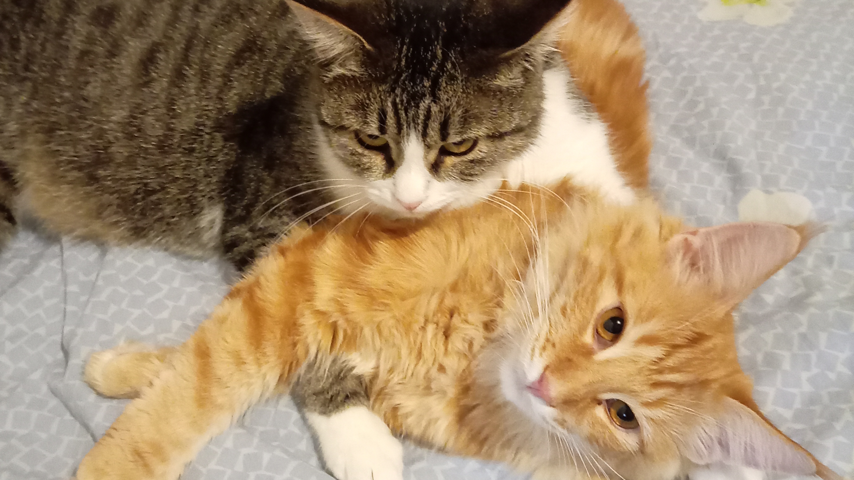 я с братом по имени Дима