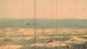 НА ЗАГОТОВКЕ КОРМОВ