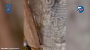 8 лет в тайге: беглец пил из реки и ел со свалки, опасаясь уголовной ответственности