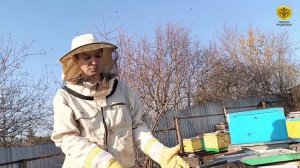 Пчеловодная аномалия на Урале! Глобальное потепление реально?