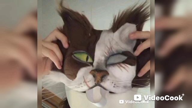 VideoCook_20260327_161209584.mp4