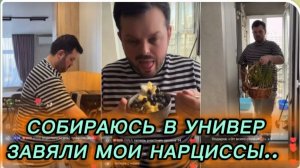 САМВЕЛ АДАМЯН, СОБИРАЮСЬ В УНИВЕР, ЗАВЯЛИ МОИ НАРЦИССЫ..