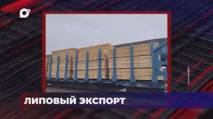 В порядке! / ЛИПОВЫЙ ЭКСПОРТ / МЯСО БЕЗ ДОКУМЕНТОВ / КОНТРОБАНДА ТРЕПАНГА / 27.03.26