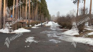 Голос молодежи