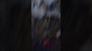 гуляю часть 1