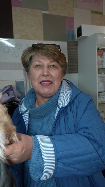 Ван Гог — мудрый кот едет домой!