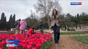 В Никитском ботаническом саду проходит традиционный парад тюльпанов