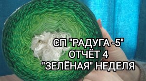 СП "РАДУГА-5/ ОТЧЁТ 4. "ЗЕЛЕНАЯ" НЕДЕЛЯ/ УЧАСТНИК 11