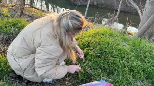 Прогулка по лесу 🌳