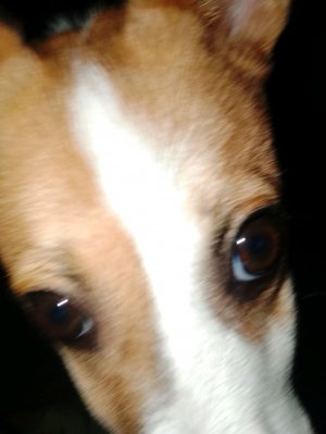 разговариваю