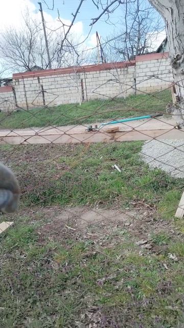 #рек Рабочий процесс 🙃