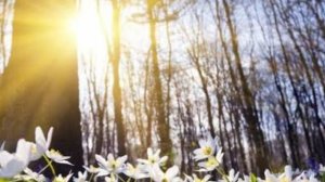 СП Добиваю недовязы 5/2026 Отчёт 13 с Мариной Стоговой