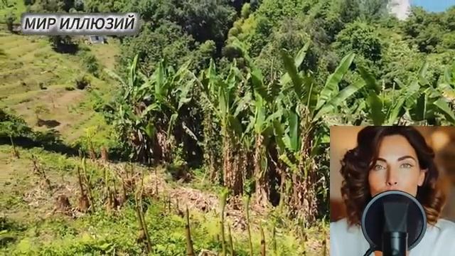 Умная рулетка