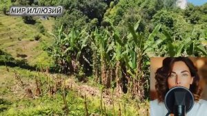 Умная рулетка