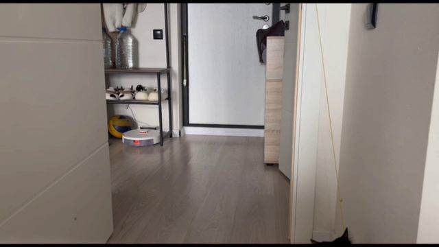 Я сегодня непоседа! )