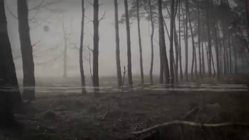 НЕ ПРОВЕРЯЙ КТО ШУМИТ ЗА ДВЕРЬЮ. Страшные истории. Страшилки на ночь. Авторская история.