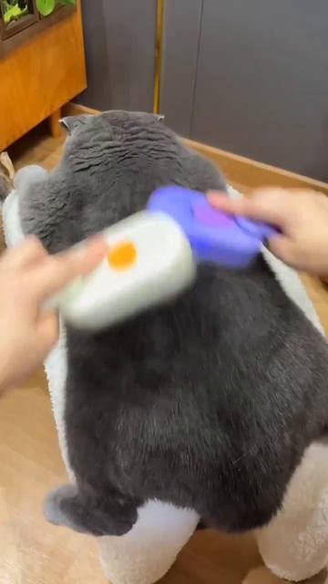 Shut up and take my money!