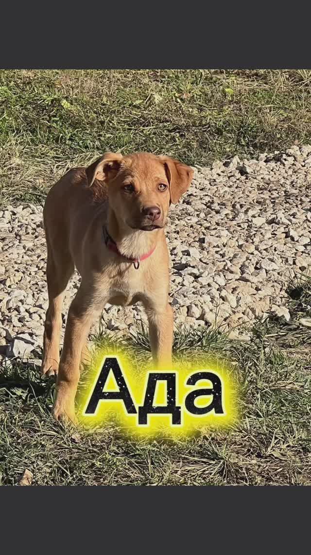 Подпишись, чтобы следить за дальнейшей Судьбой ❤️🤩