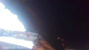 Вычищаю сад от сорных растений