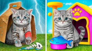 Крошечный Котенок Спасен и Обрел Дом  Секретная Комната для Маленького Котика