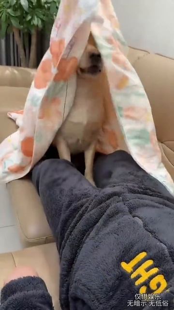 #Funny joke,#Funny video,#video top😂🤣🤣