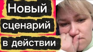 Новый сценарий в действии🤡Деревенский дневник