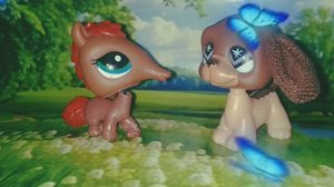 Littlest Pet Shop Сериал: Мелодия Моей Души 6 серия из 7 серий