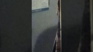 стрим первый