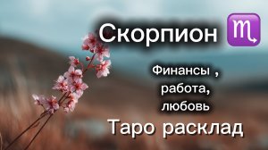 СКОРПИОН ‼️23 марта -5 апреля ТАРО расклад 💕три сферы