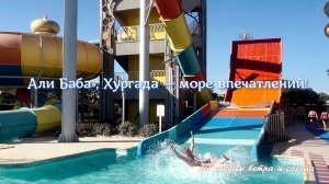 Отель „Али Баба“ в Хургаде: первая береговая линия + огромная территория! 🌊🌴🏖️