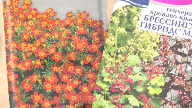 2026_03_26_Во саду и в огороде