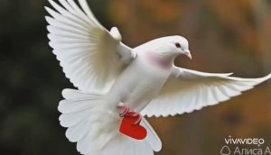 *** ДЛЯ ЛЮБВИ ***