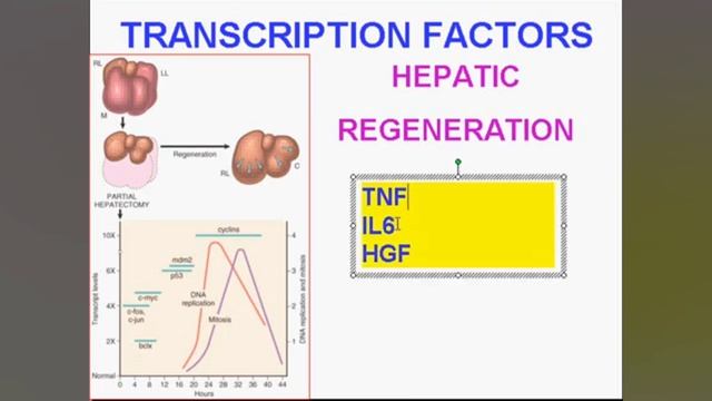булезный эпидермолиз и орфанные заболевания коллагенопатии. mp4